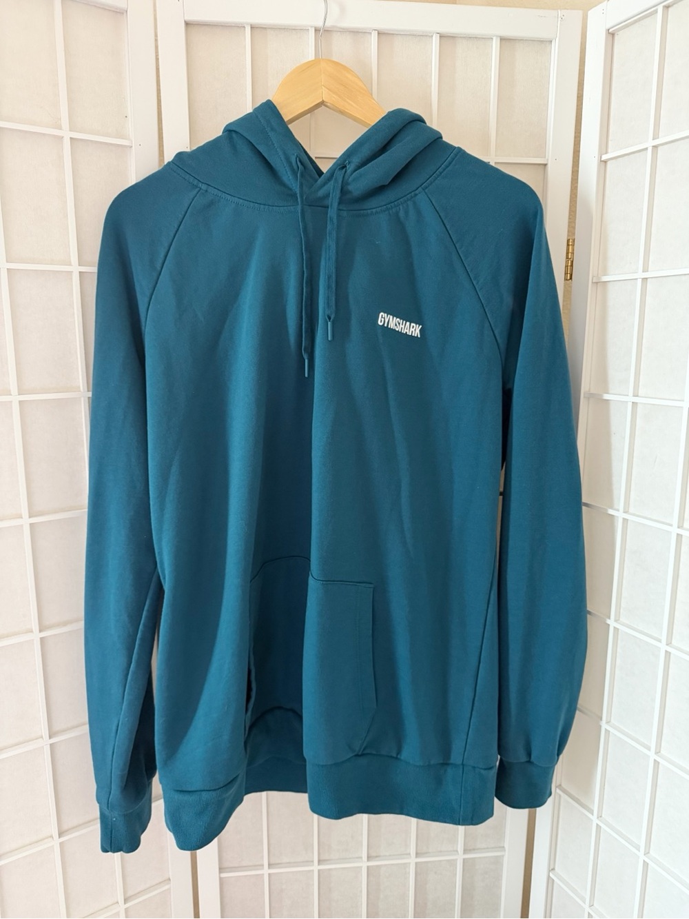 Gymshark Teal Hoodie XL